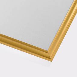 Gold Frame Print