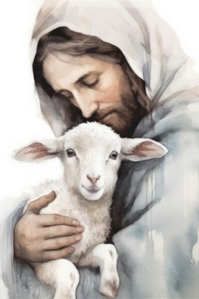 Jesus and little sheep