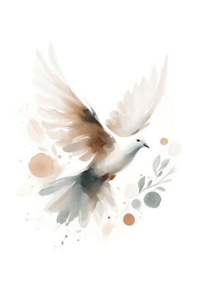 Peace i leave with you - Dove