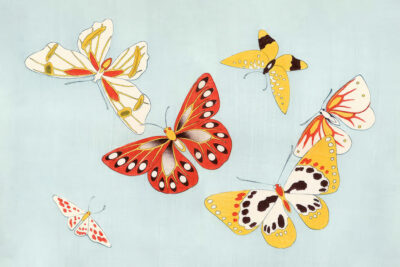 Butterflies