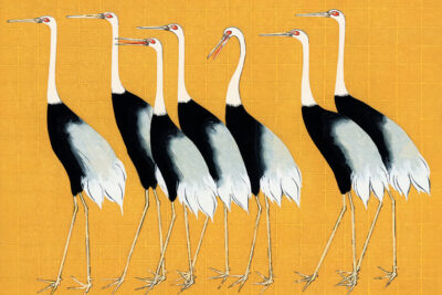 Japanese Cranes