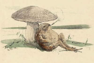 Vintage smoking toad art print