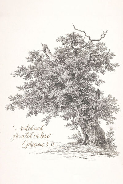 Ephesians 3 17, Rooted & Grounded