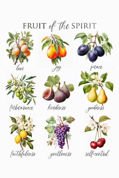 Fruit of the holy Spirit (1)