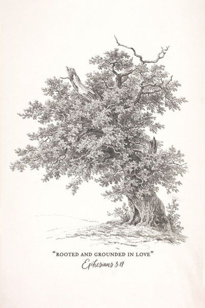Ephesians 3-17, Rooted & Grounded