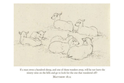 Matthew 18-12, He Leaves the 99, Lost Sheep Parable