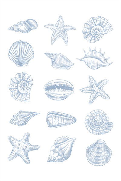 Coastal Light Blue Print, Seashells Wall Art, Beach House Decor, Coastal Cowgirl Art, Nautical Decor, Trendy Surf Poster