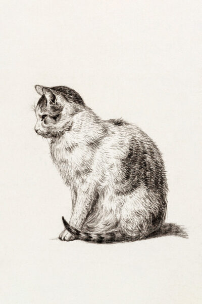 Sitting Cat Pencil vintage art