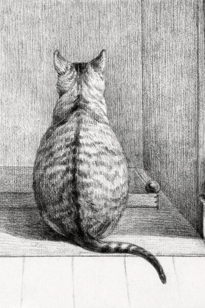 Sitting Cat Vintage Pencil Scetch