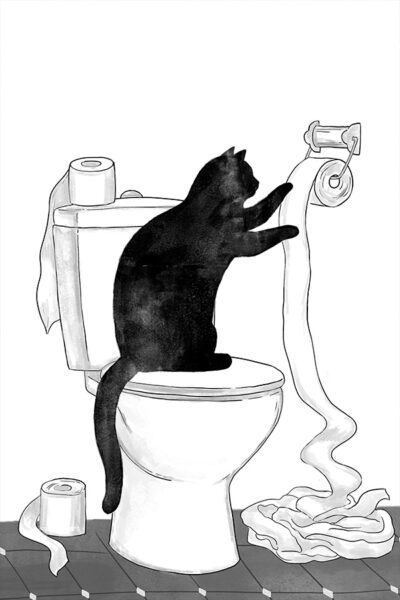 Black cat in Toilet
