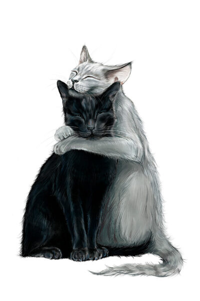 Cats Love
