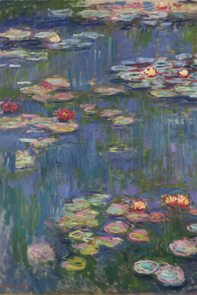 Water Lilies