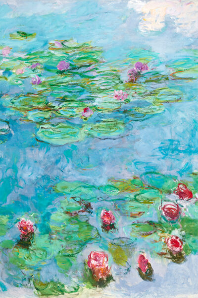 Water Lilies