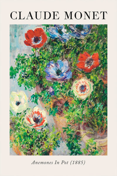 Anemones In Pot