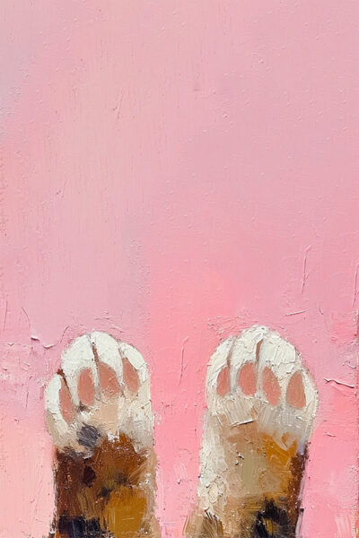 Paws of cat