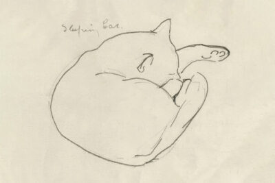 Pencil Scetch Vintage Sleeping Cat