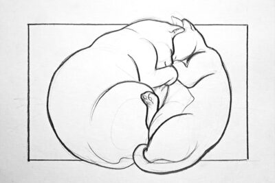 Two sleeping cats