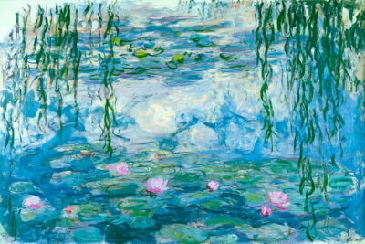 Water Lilies