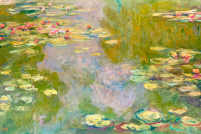 Water Lilies