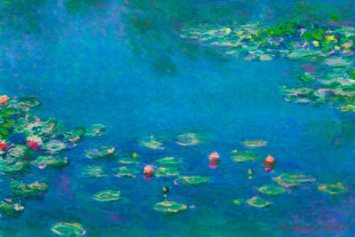 Water Lilies