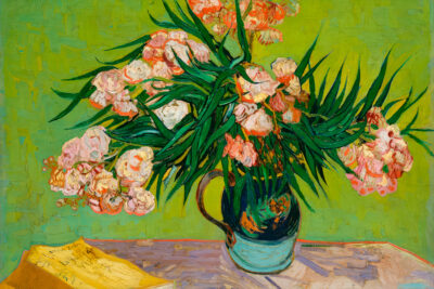 Oleanders