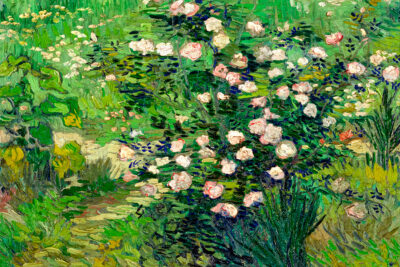 Roses