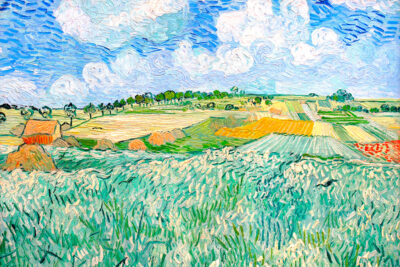 Plain Near Auvers
