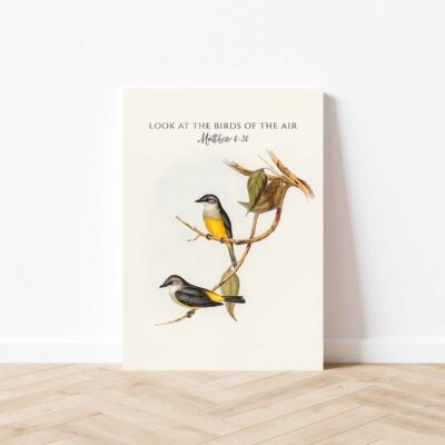 Look at the bird