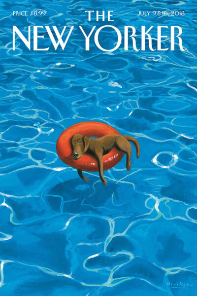 2018-07-09&16 - Dog in Pool