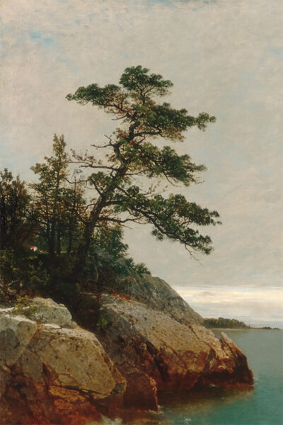 The Old Pine, Darien, Connecticut