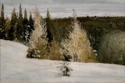 Winter Country Forest