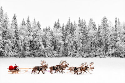 Santa sleigh Reindeer print