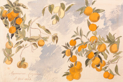 Edward Lear - Fruit Trees